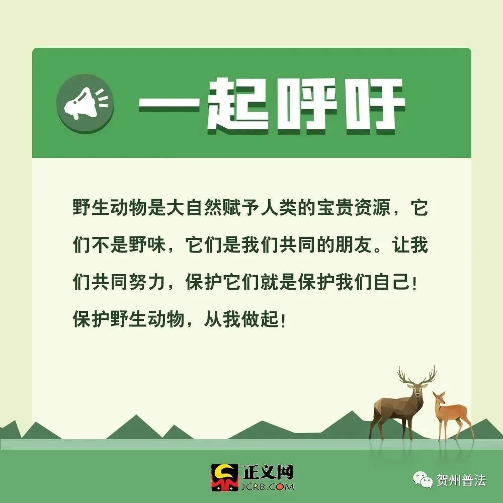 为什么要保护动物（保护动物的意义和作用）