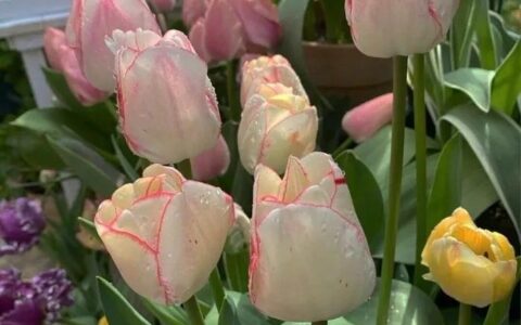 情怀经典句子正能量（充满了正能量的金句）