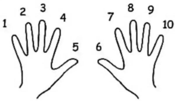 趣味数学故事大全（趣味数学内容摘抄）