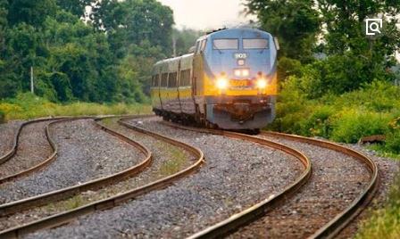 趣味数学故事大全（趣味数学内容摘抄）