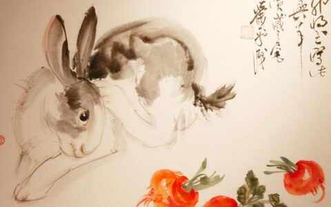 带兔的成语有哪些（关于兔的吉祥四字成语）