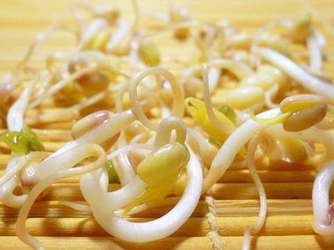 泡豆芽怎么泡的（教你自家泡发豆芽）