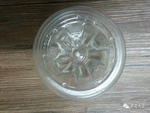泡豆芽怎么泡的（教你自家泡发豆芽）