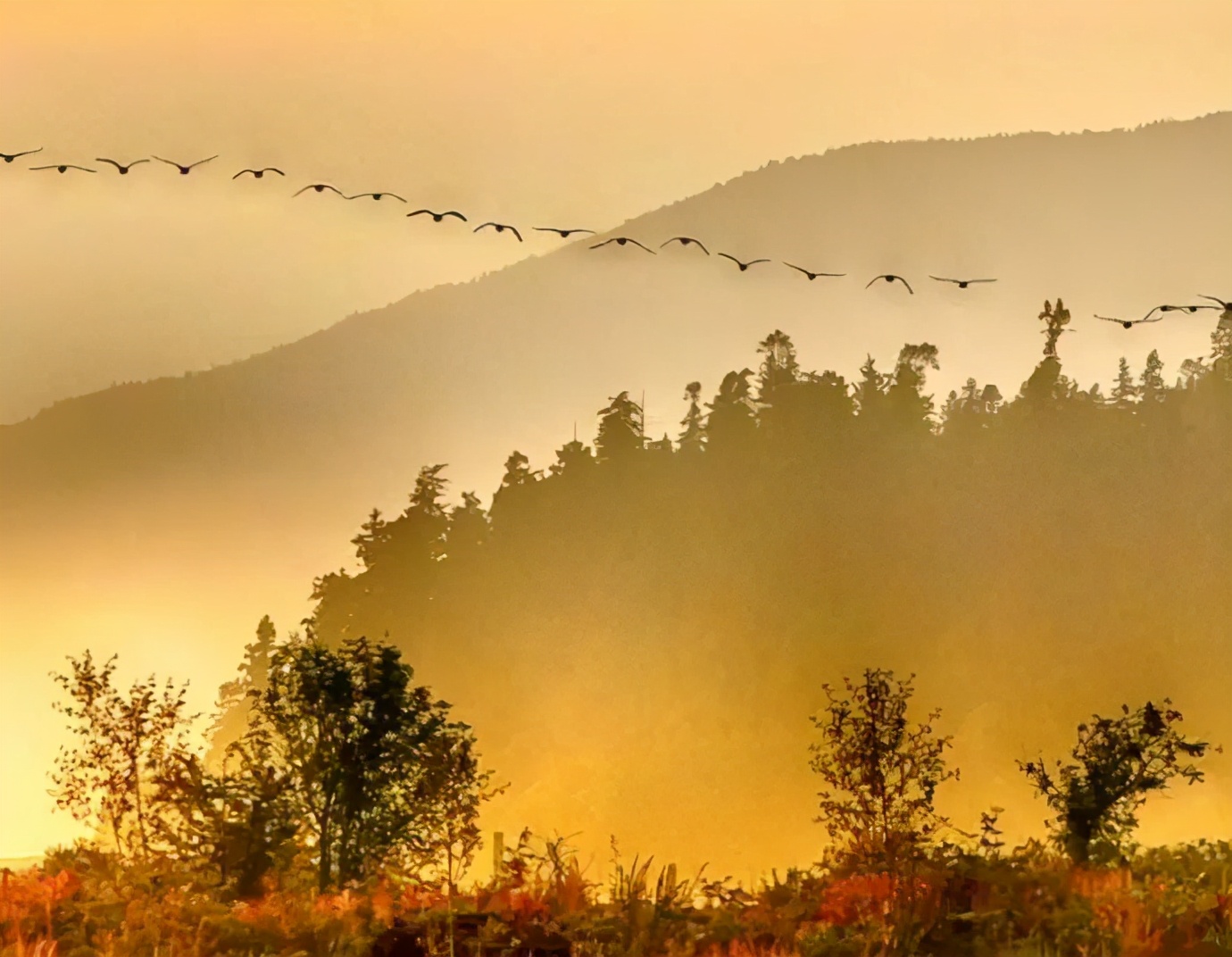 燕然未勒归无计典故（燕然未勒归无计典故赏析）