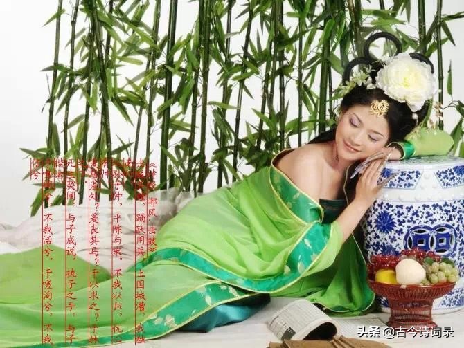 抒情诗大全100首（简短抒情的句子分享）