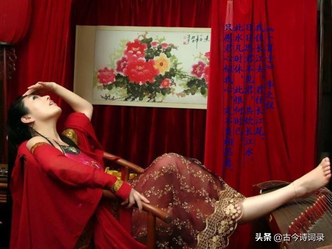 抒情诗大全100首（简短抒情的句子分享）