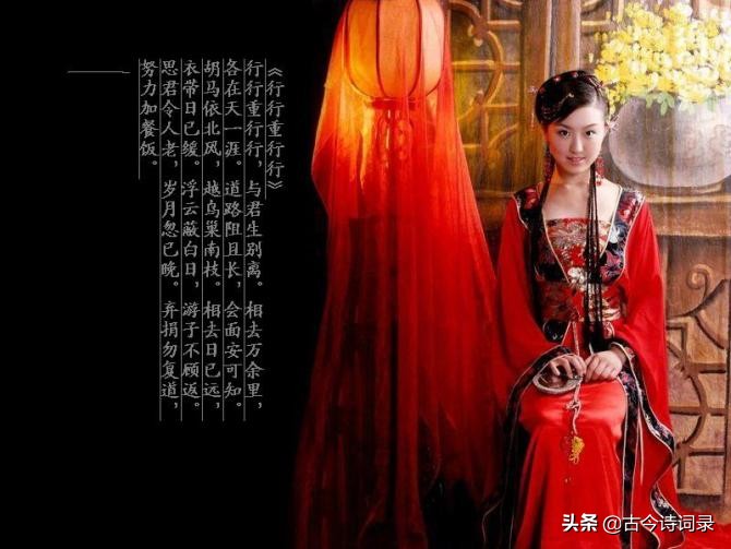 抒情诗大全100首（简短抒情的句子分享）