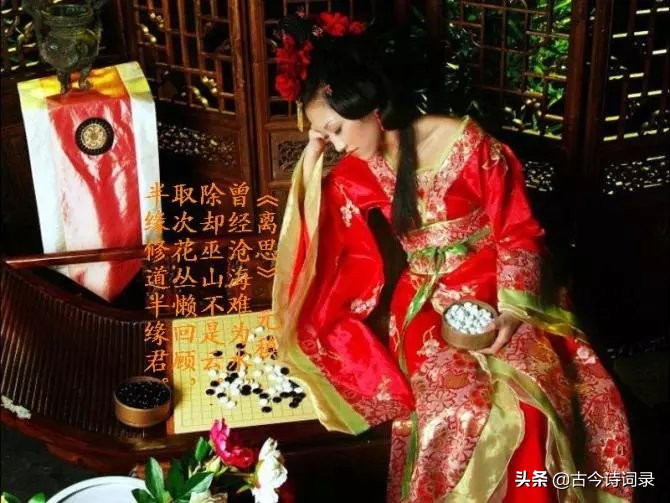 抒情诗大全100首（简短抒情的句子分享）