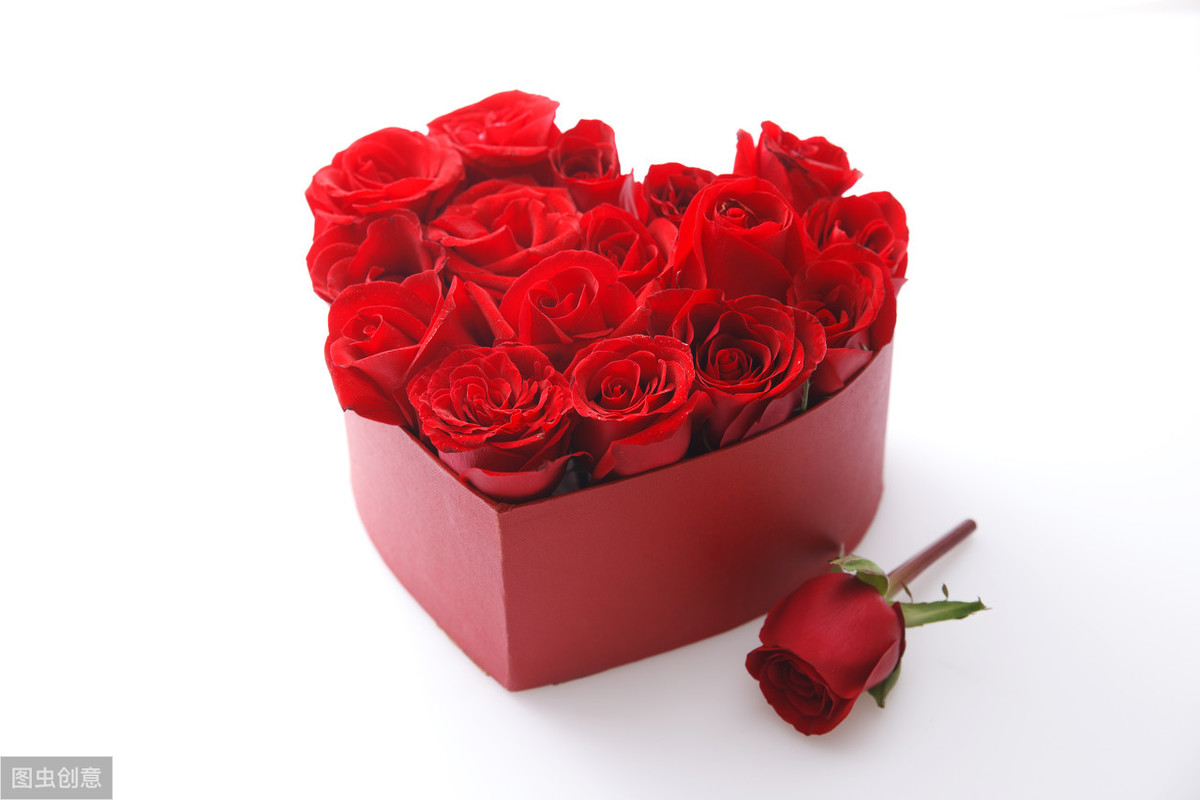 讽刺爱情的经典句子（特别讽刺的情感语录）