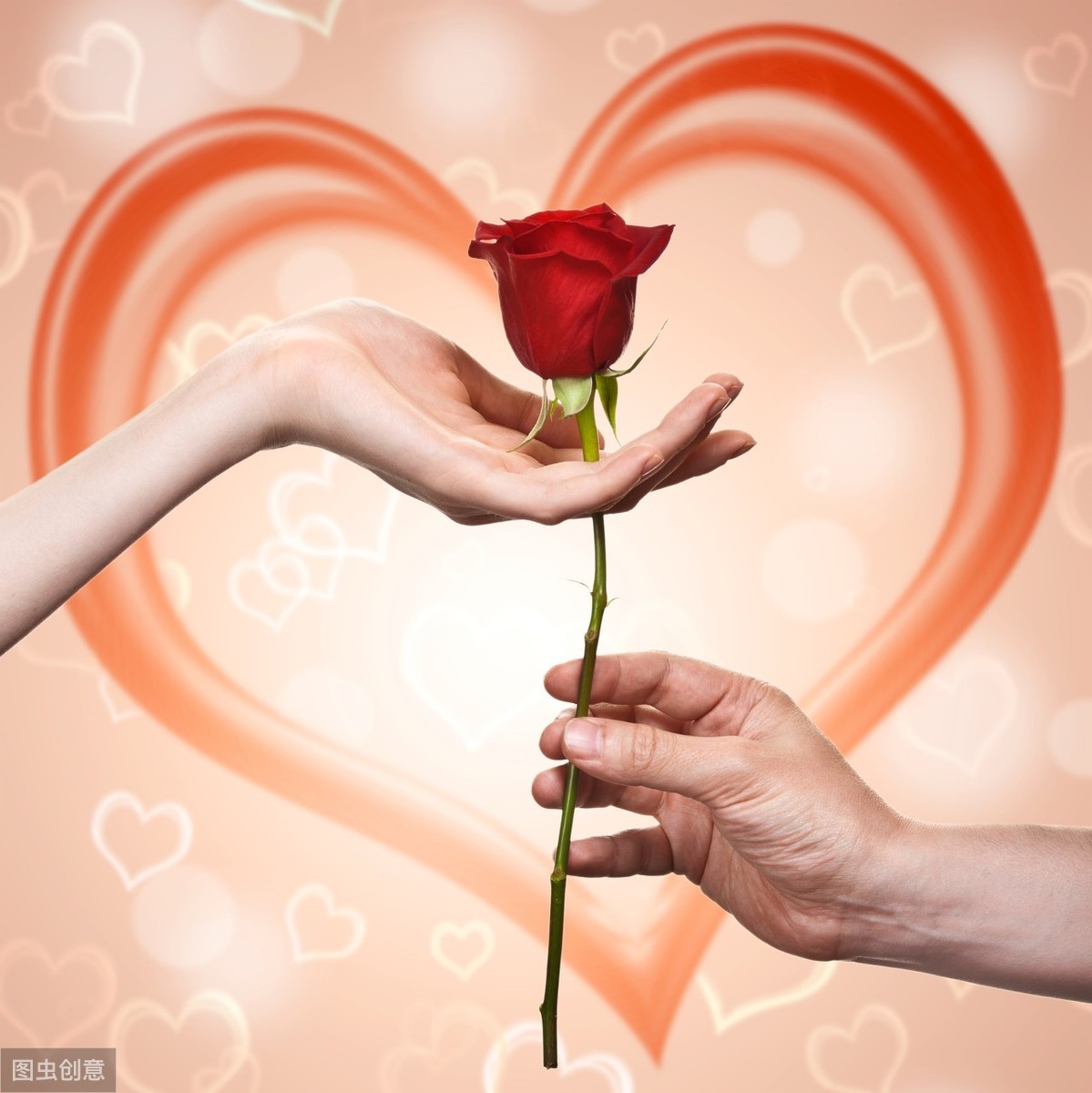 讽刺爱情的经典句子（特别讽刺的情感语录）