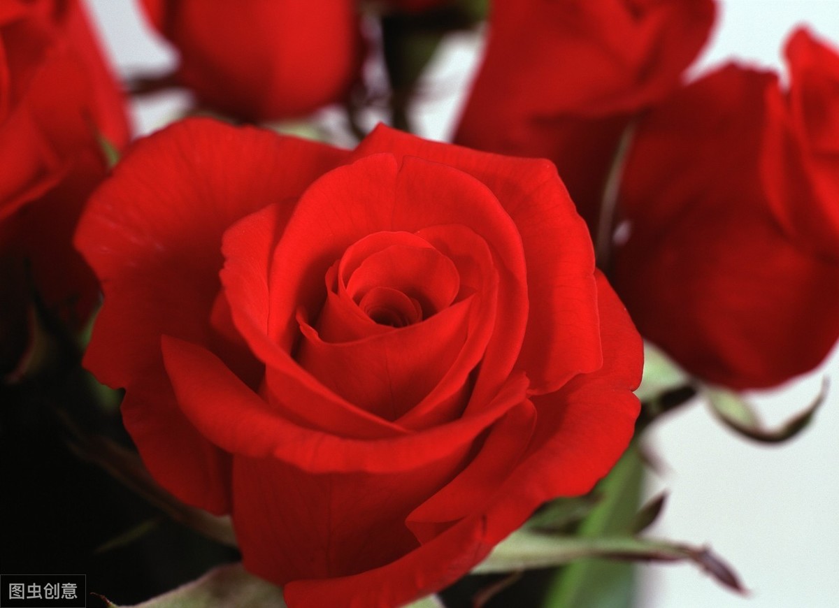 讽刺爱情的经典句子（特别讽刺的情感语录）