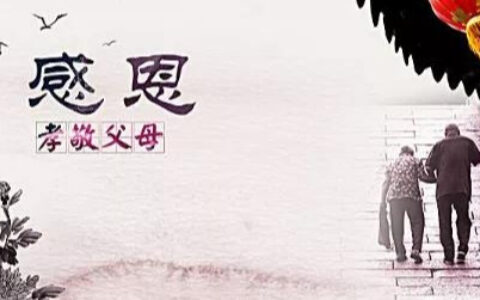 尊老敬老的名言诗词佳句（孝亲敬老的精美摘抄）