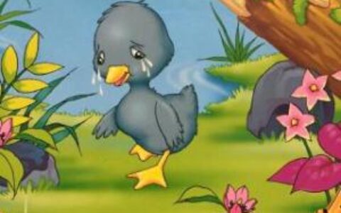 《丑小鸭》读后感500字