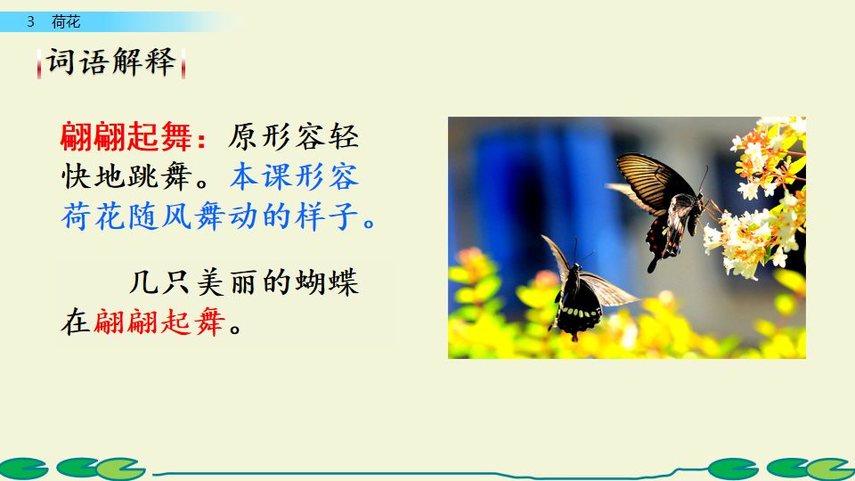 荷花课文三年级教案（《荷花》原文及教案）