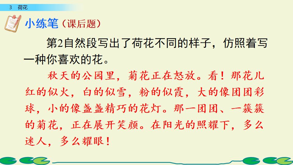 荷花课文三年级教案（《荷花》原文及教案）
