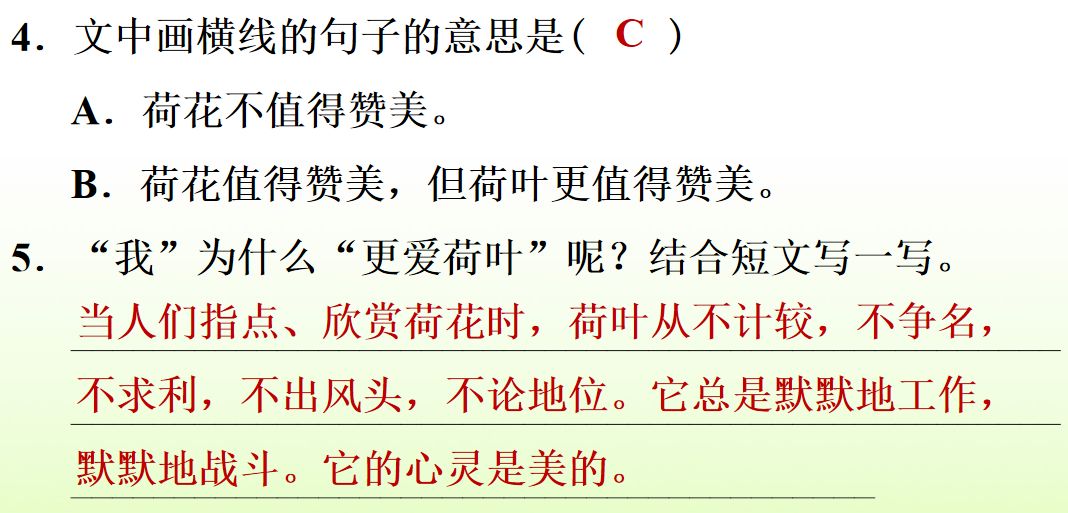 荷花课文三年级教案（《荷花》原文及教案）