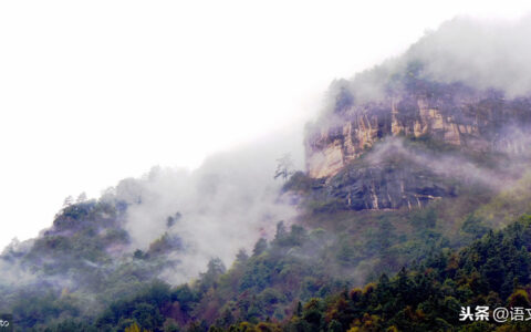 寒夜有怀的译文（形容孤独无人懂的诗句）