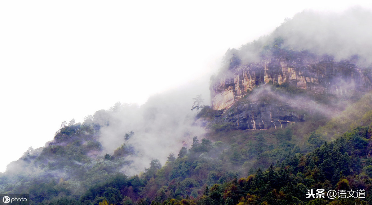 寒夜有怀的译文（形容孤独无人懂的诗句）