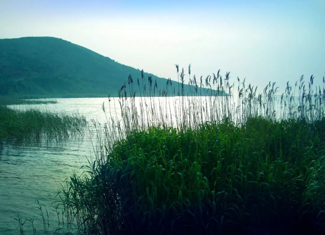 形容美景的诗句经典（关于写景色的古诗）