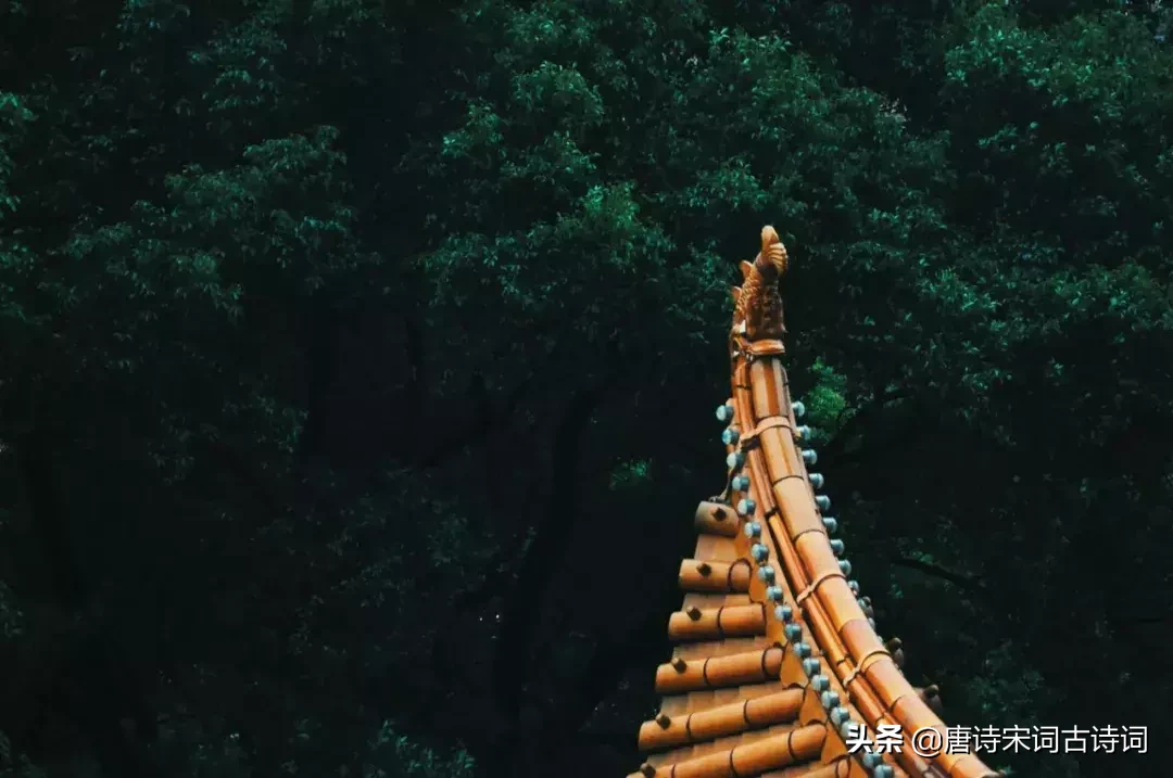 形容初夏的诗句古诗（形容夏天的唯美句子）