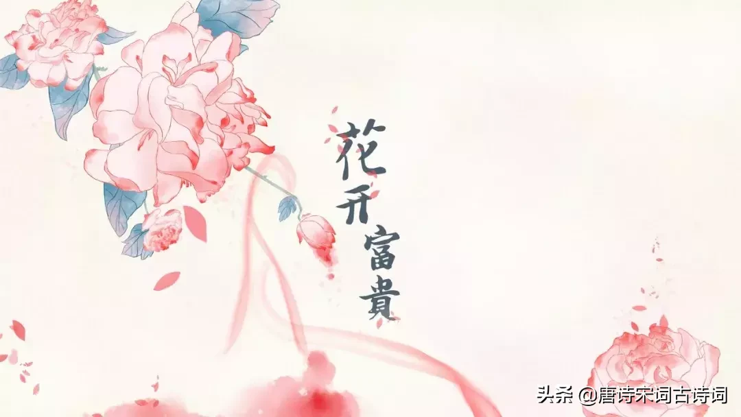 牡丹诗句经典名句（赞美牡丹的经典诗句）