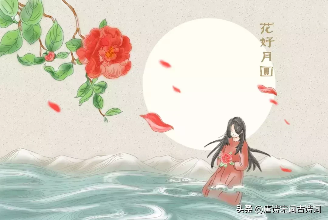 牡丹诗句经典名句（赞美牡丹的经典诗句）