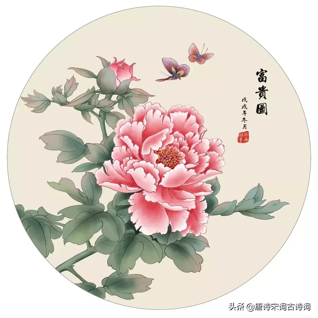 牡丹诗句经典名句（赞美牡丹的经典诗句）