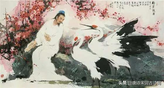 梅花的诗句有哪些（与梅花有关的诗词分享）