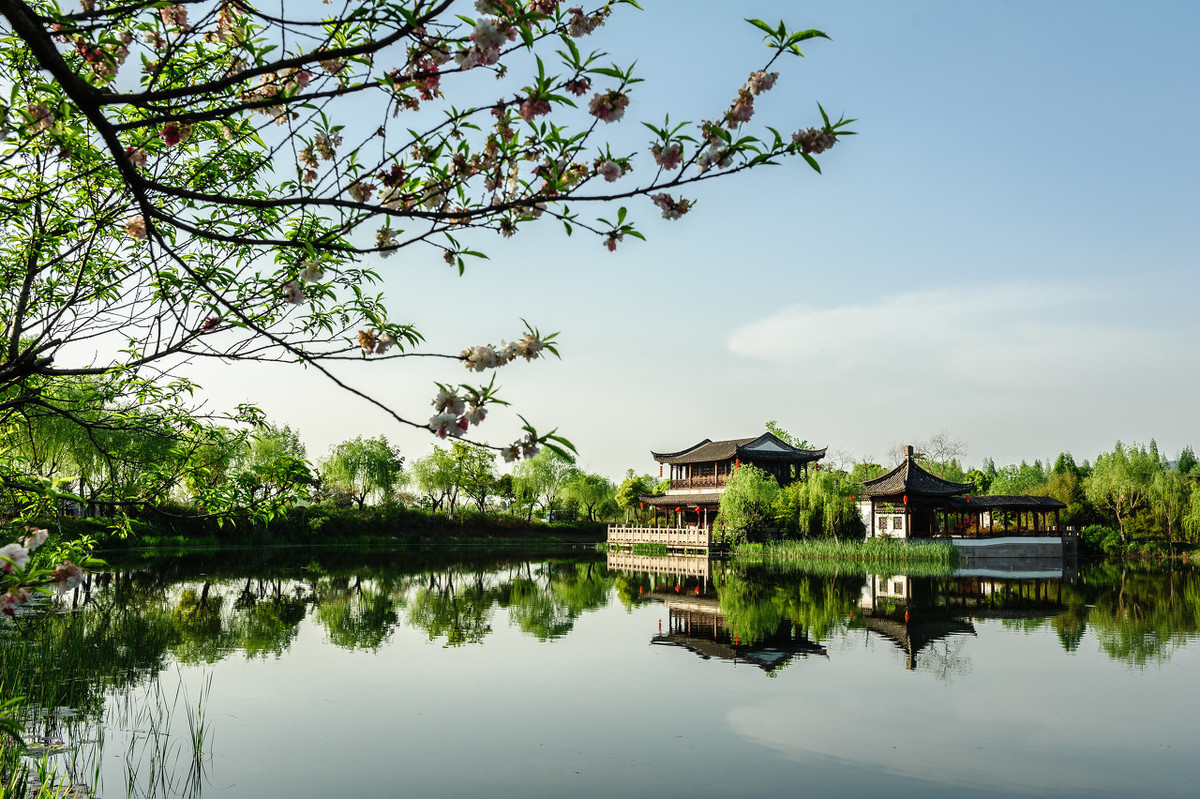 杂诗七首其一曹植朗读（杂诗七首全部古诗）