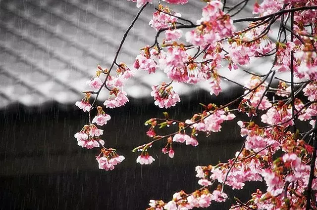 形容全面的成语有哪些（比喻全面完整的成语）