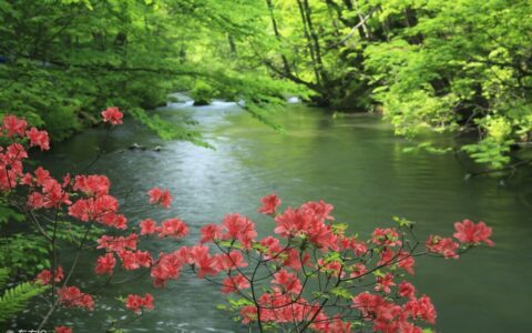 鼓励孩子好好学习的话（最新家长鼓励话寄语）