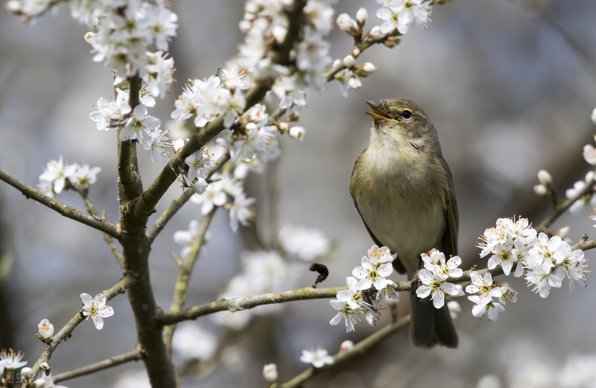 关于四季的春夏秋冬诗句（春夏秋冬四季古诗大全 ）