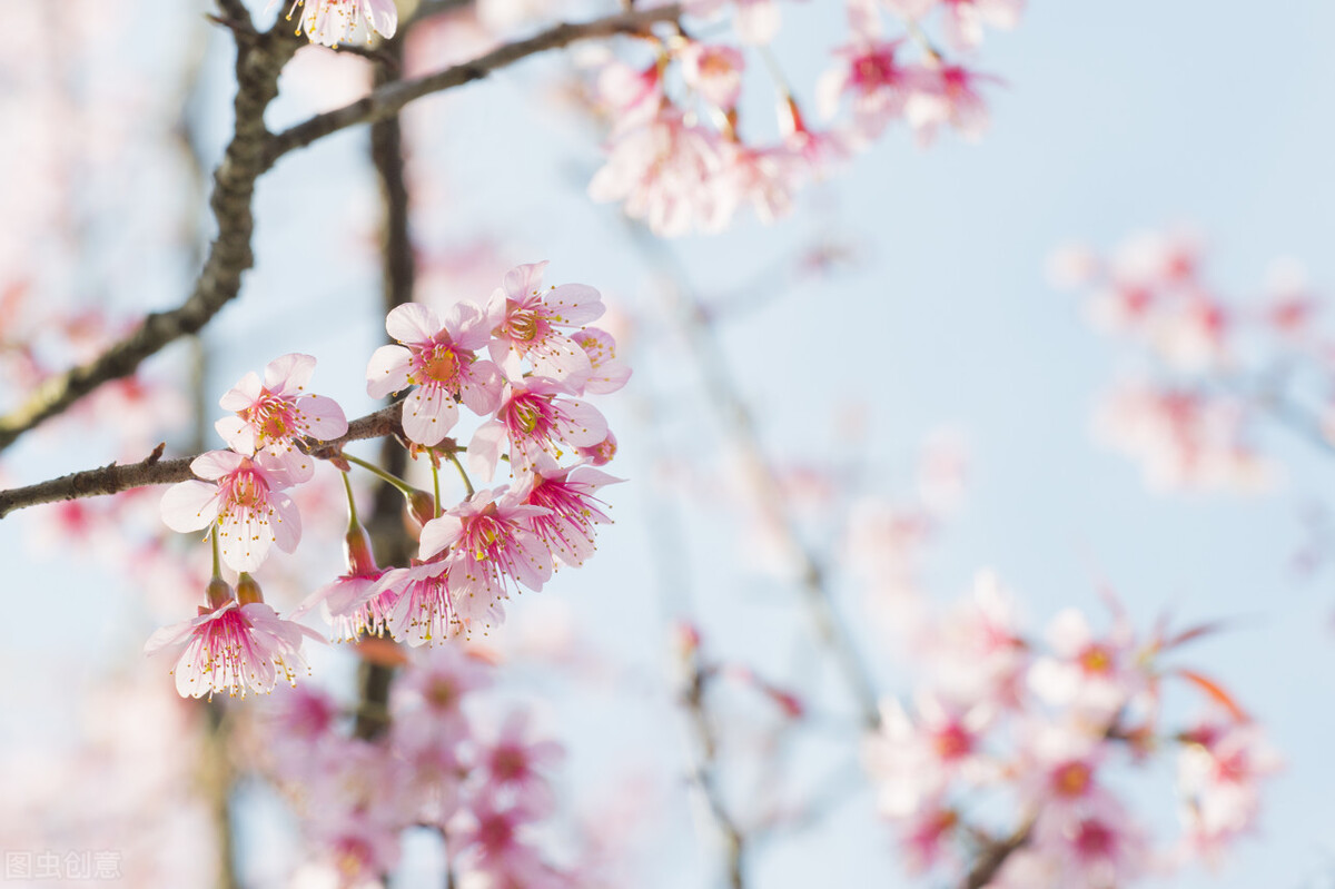 关于四季的春夏秋冬诗句（春夏秋冬四季古诗大全 ）