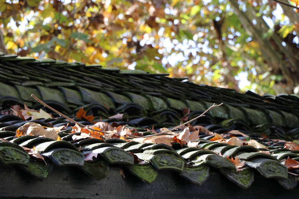 关于四季的春夏秋冬诗句（春夏秋冬四季古诗大全 ）