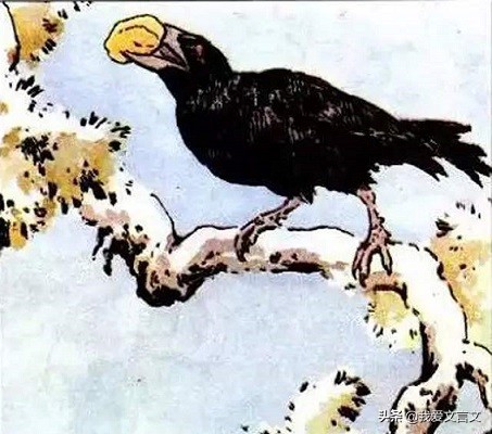 乌鸦喜谀原文及翻译（乌鸦喜谀文言文赏析）