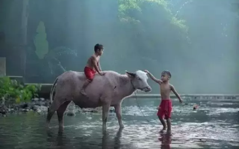 形容五月的优美诗句（赞美五月的优美诗句）