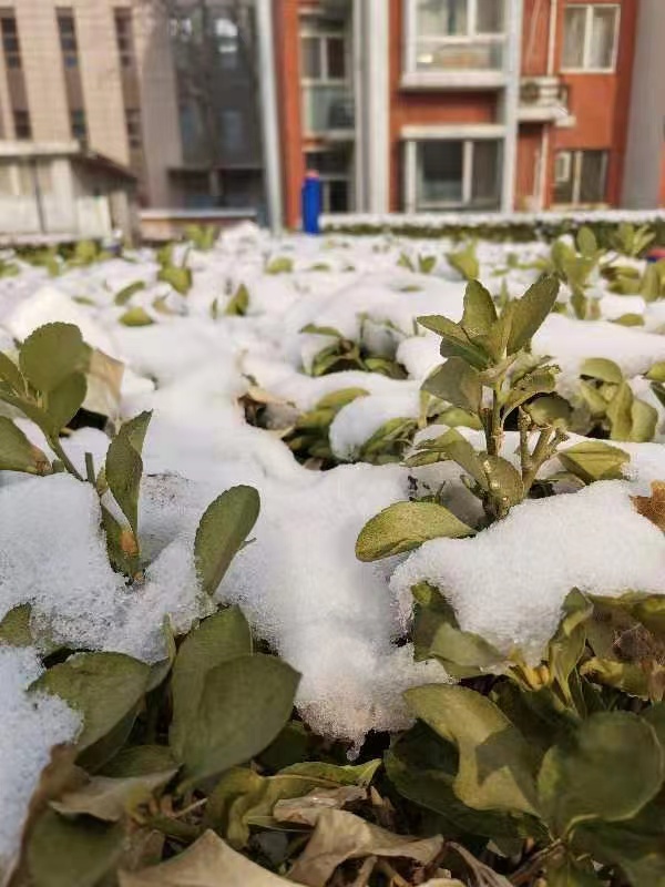 关于冬至的祝福语（冬至祝福短信最温馨的话）