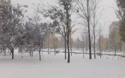 关于冬至的祝福语（冬至祝福短信最温馨的话）