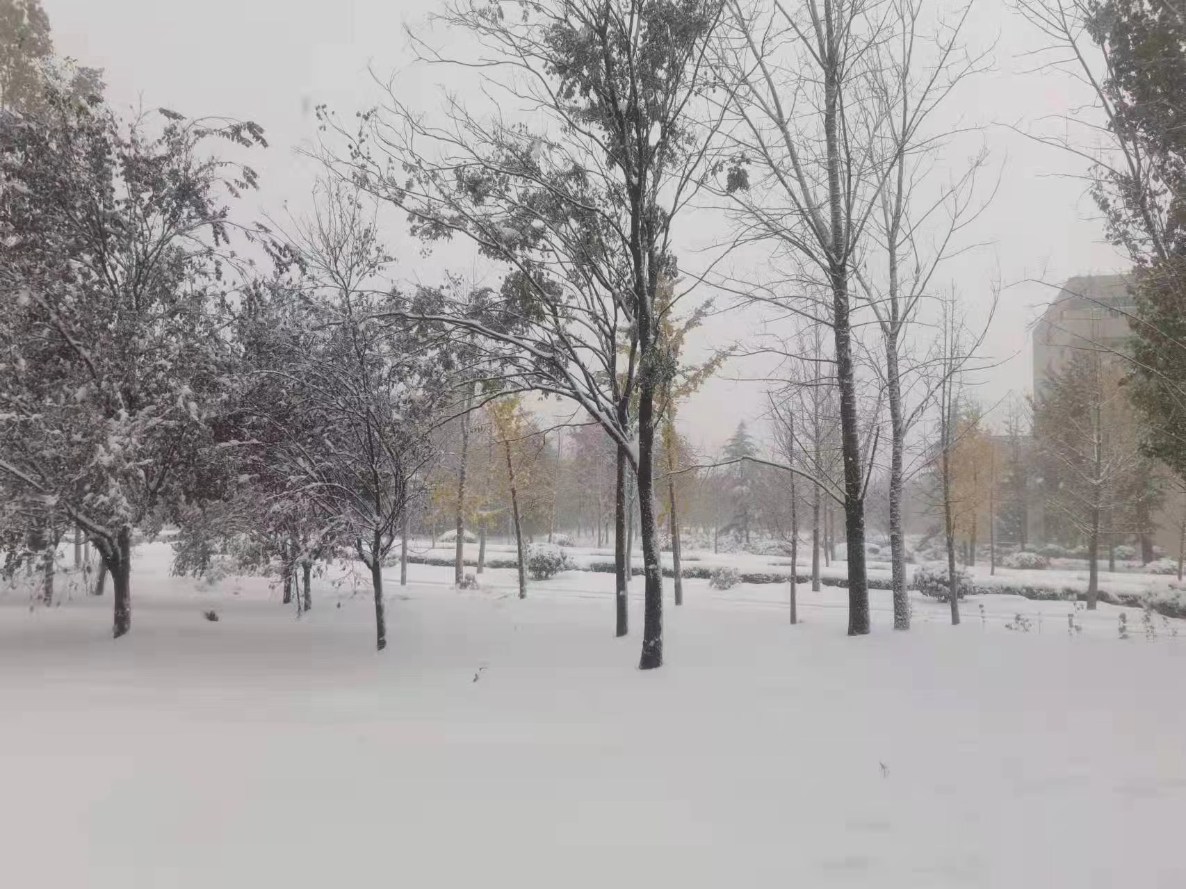 关于冬至的祝福语（冬至祝福短信最温馨的话）