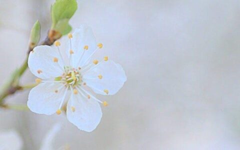 同学情短句朋友圈（同学情谊的朋友圈句子）
