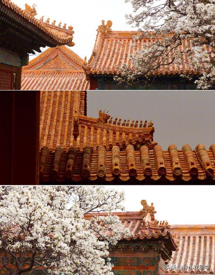 故宫的诗句和名言（描写紫禁城的唯美句子）