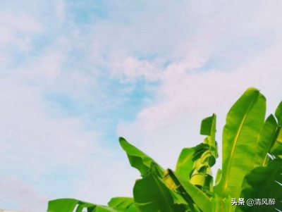 夸胖子的幽默句子（夸胖人的俏皮话分享）