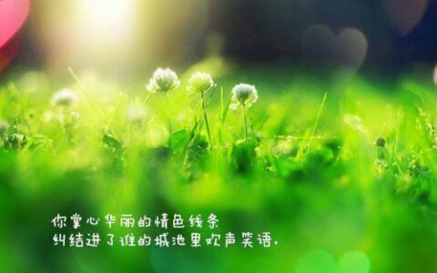 养成良好的行为名言警句（简单干净自律的句子）