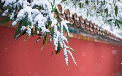 关于北京故宫的传说（故宫的历史传说简短优美）