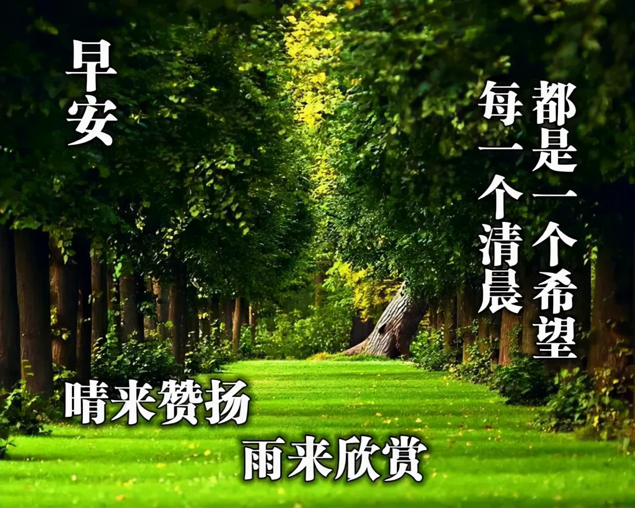 祝自己好运的句子（带来好运和福气的诗句）