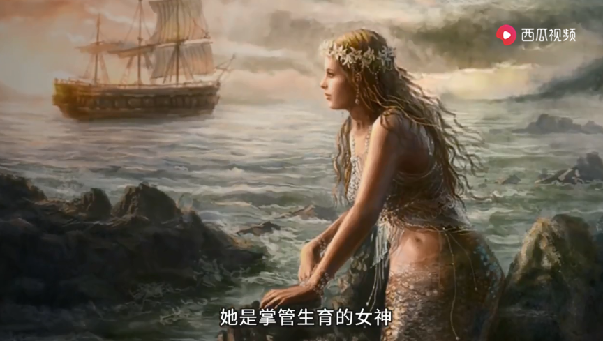 美人鱼的故事大全（美人鱼公主的童话故事）
