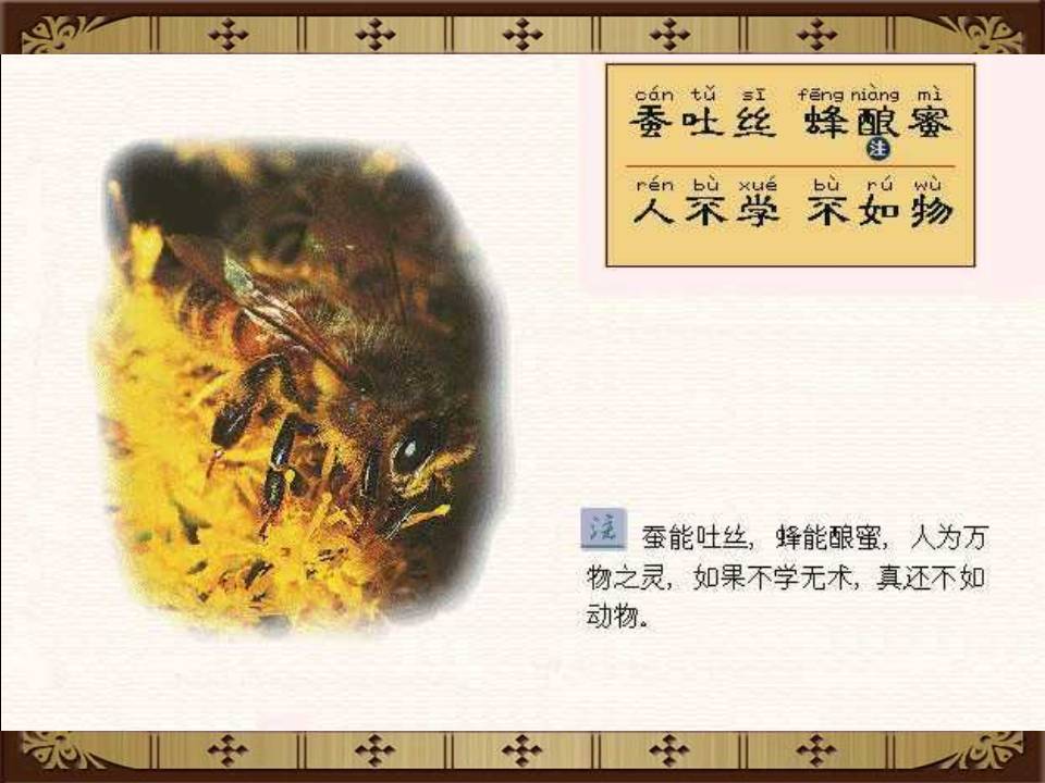 三字经全文带解释带拼音（三字经内容及教人道理）