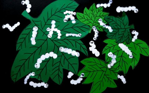 春蚕到死丝方尽成语是什么（春蚕到死丝方尽的寓意）