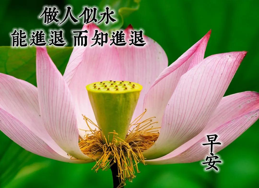 赞美友情的唯美句子发朋友圈（赞美友谊的话简短）