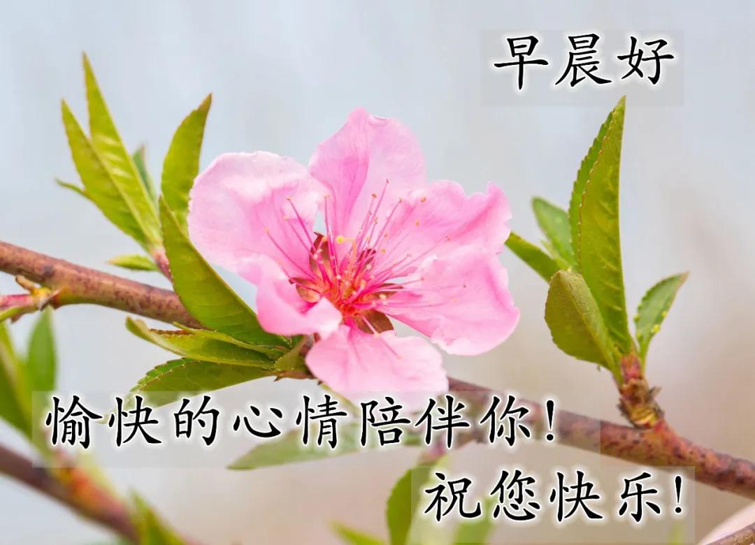 赞美友情的唯美句子发朋友圈（赞美友谊的话简短）